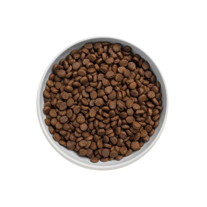 Canagan (原之選) 天然無穀物貓乾糧 - 走地雞配方 1.5kg / 4kg