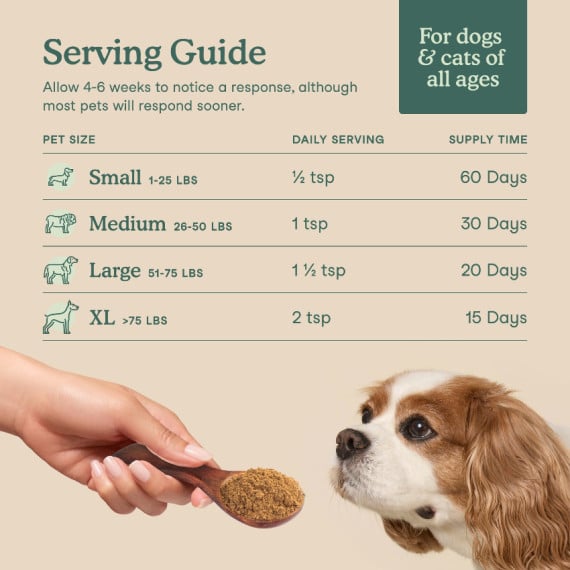 Fera Pets 寵物綜合維他命 （犬貓通用） 105g