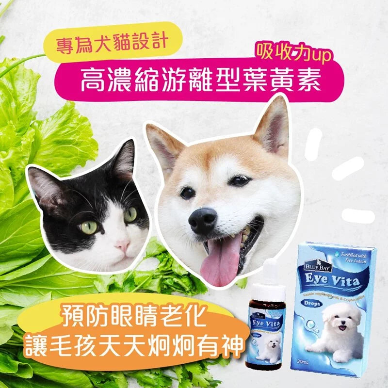 Blue Bay倍力 口服護眼保健 30ml(貓狗適用)