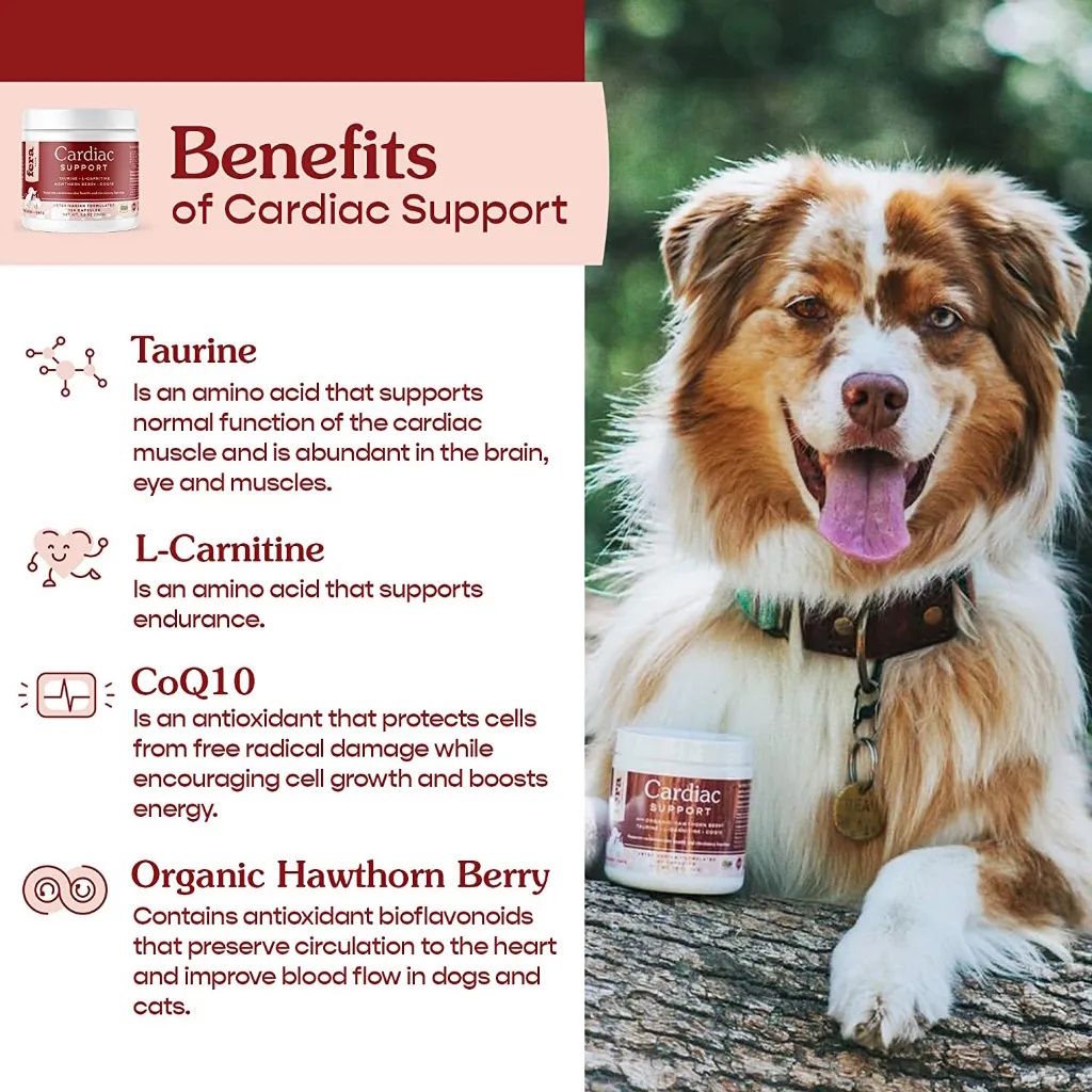 fera pets - 心臟及心血管健康膠囊 60 粒裝 - 貓狗適用 (獸醫研發|美國製造)