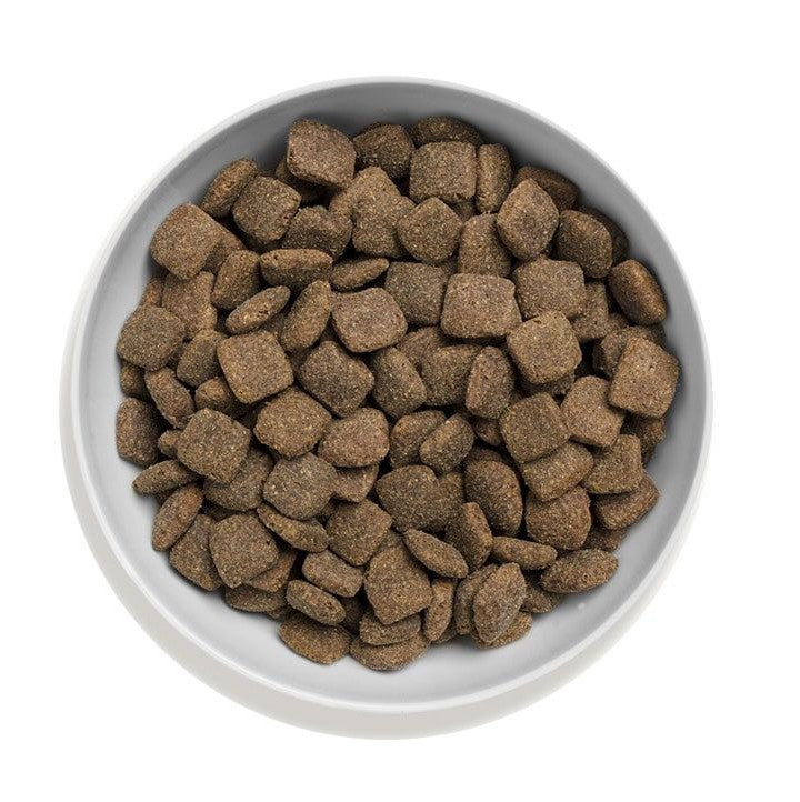 Canagan (原之選) 無穀物狗乾糧 - 放牧羊配方 2kg / 6kg /12kg