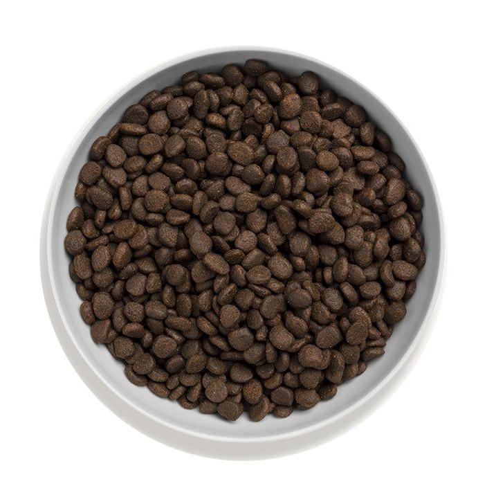 Canagan Natural Grain-Free Dry Cat Food - Scottish Salmon Formula 1.5kg