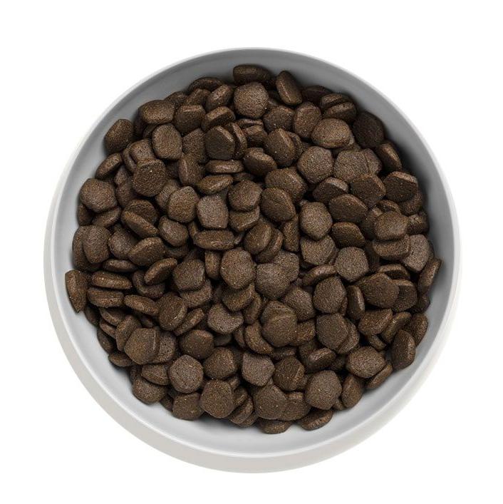 Canagan (原之選) 天然無穀物狗乾糧 - 蘇格蘭三文魚配方 2kg / 6kg / 12kg