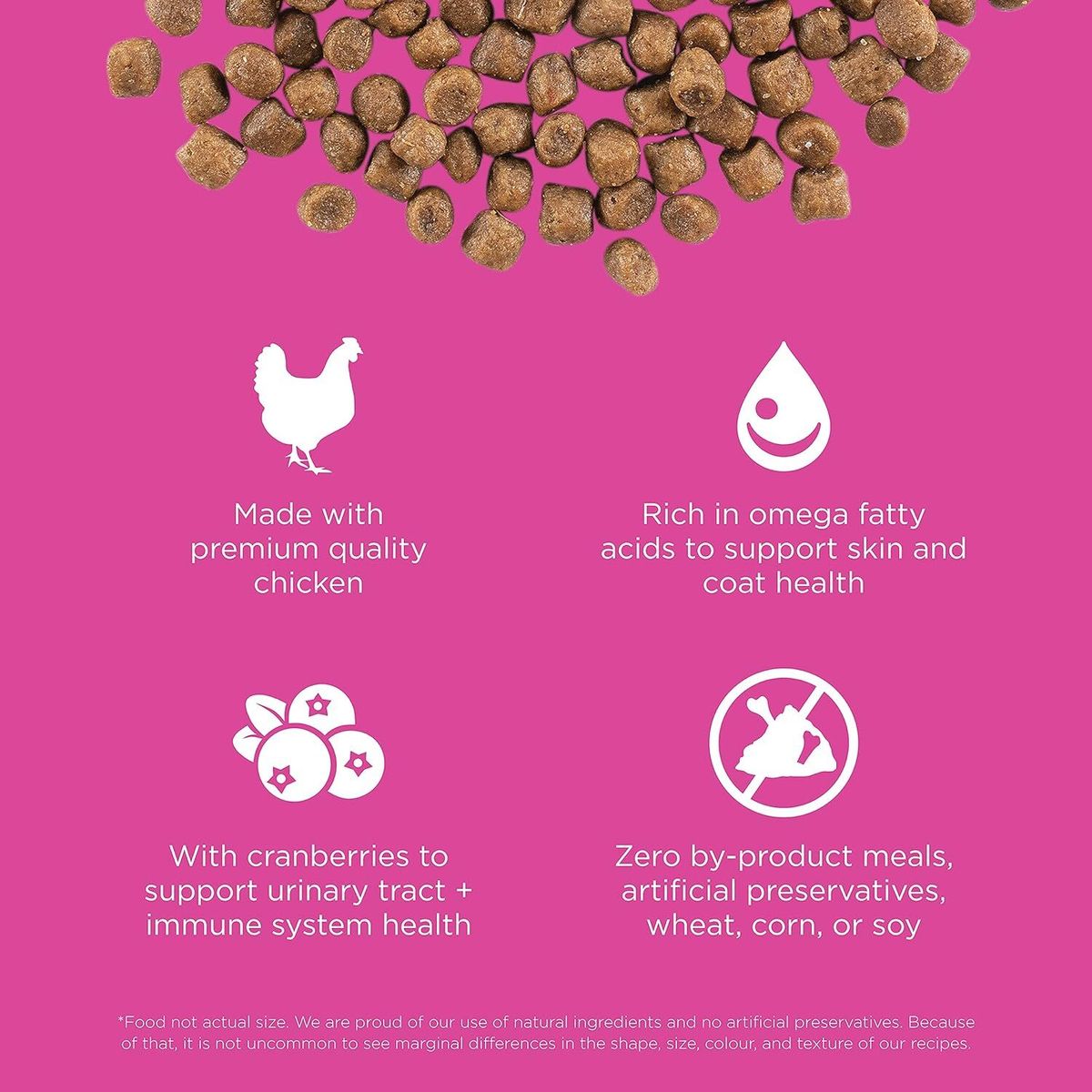 Go! SOLUTIONS Dry Cat Food - Skin Care &amp; Coat Enhancement Series - Chicken Formula