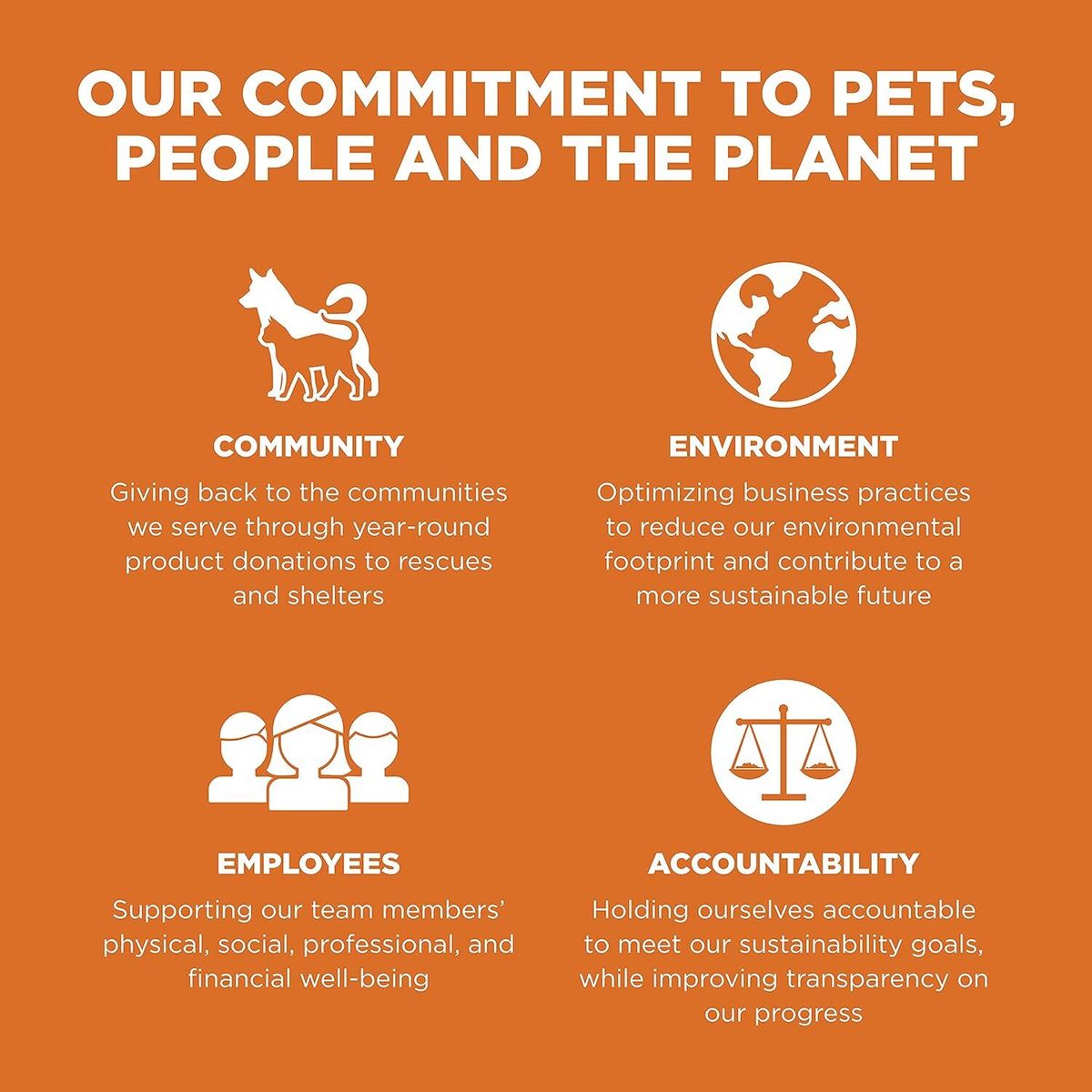 Go! SOLUTiONS Dry Cat Food - Skin Care &amp; Coat Enhancement Series - Grain-Free Salmon Formula