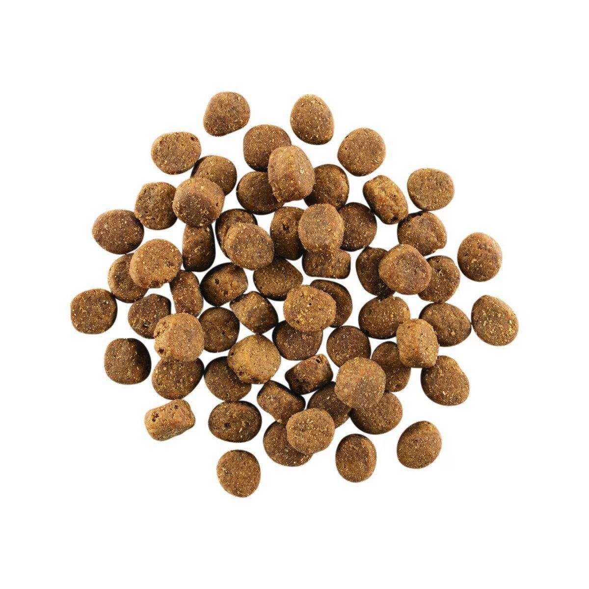 Go! SOLUTIONS Dry Dog Food - Vitality Nutrition Series - Grain-Free Salmon + Cod Formula