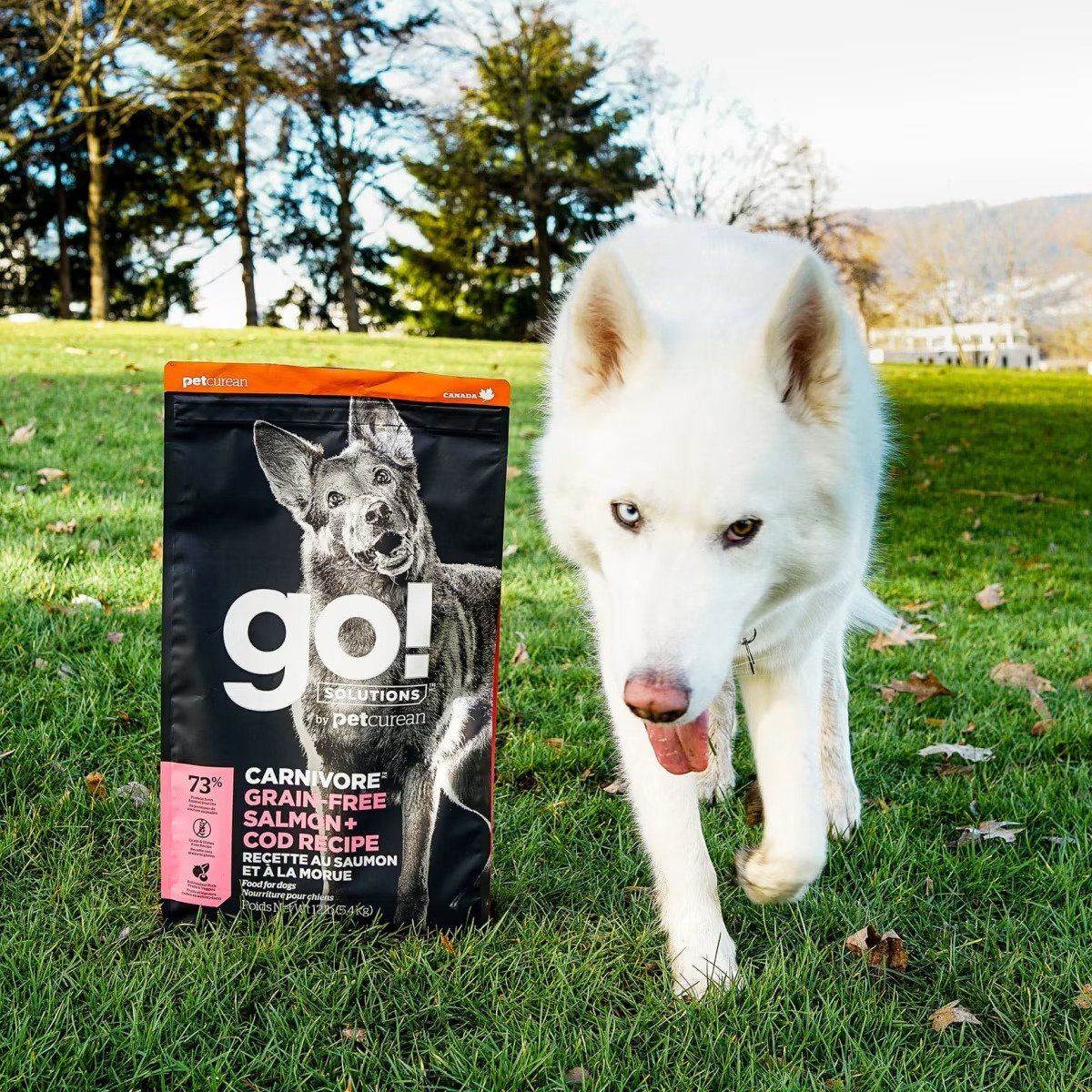 Go! SOLUTIONS Dry Dog Food - Vitality Nutrition Series - Grain-Free Salmon + Cod Formula