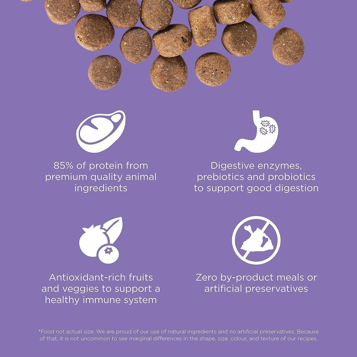 Go! SOLUTIONS Dry Dog Food - Vitality Nutrition Series - Grain-Free Chicken + Turkey + Duck Formula for Senior Dogs