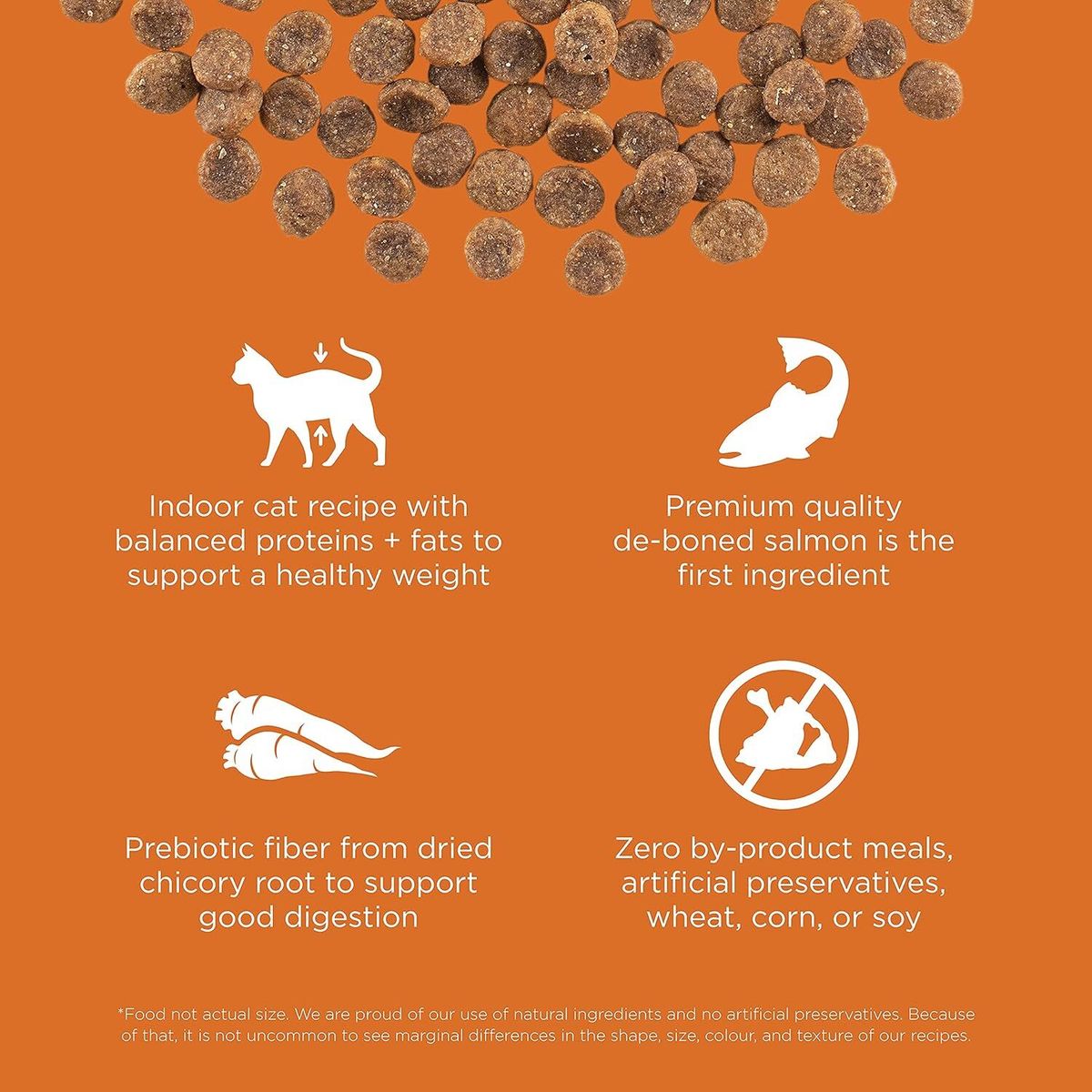 Go! SOLUTiONS Dry Cat Food - Skin Care &amp; Coat Enhancement Series - Grain-Free Salmon Formula