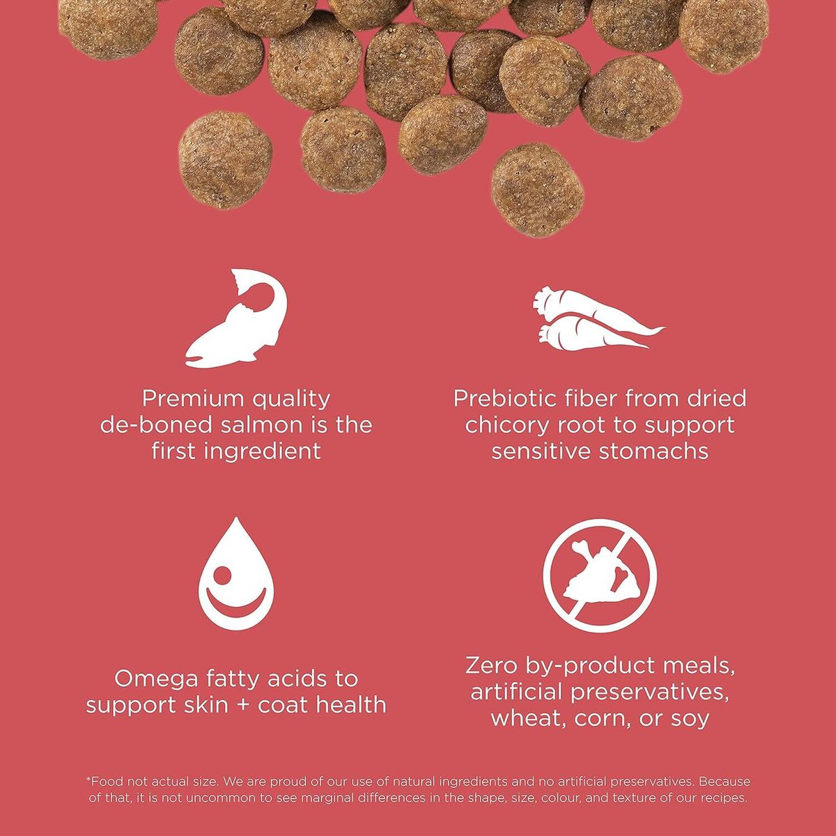 Go! SOLUTIONS Single Protein Dry Dog Food - Hypoallergenic Coat Series - Grain-Free Salmon Formula