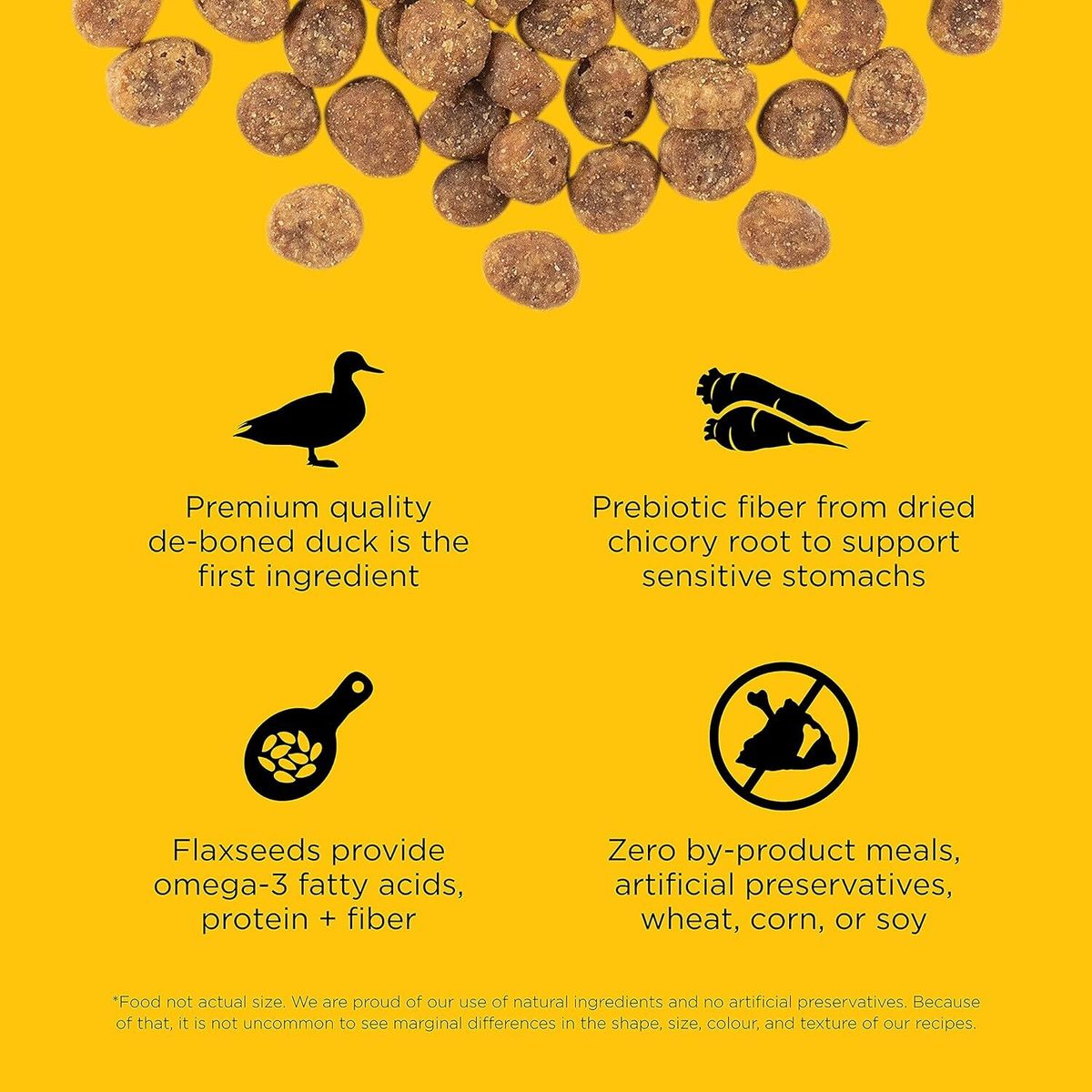 Go! SOLUTIONS Dry Cat Food - Hypoallergenic Coat Care Series - Single Protein - Duck Formula