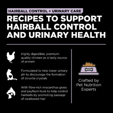 Go! SOLUTIONS Dry Cat Food - Urinary System &amp; Hairball Control Series - Chicken Formula