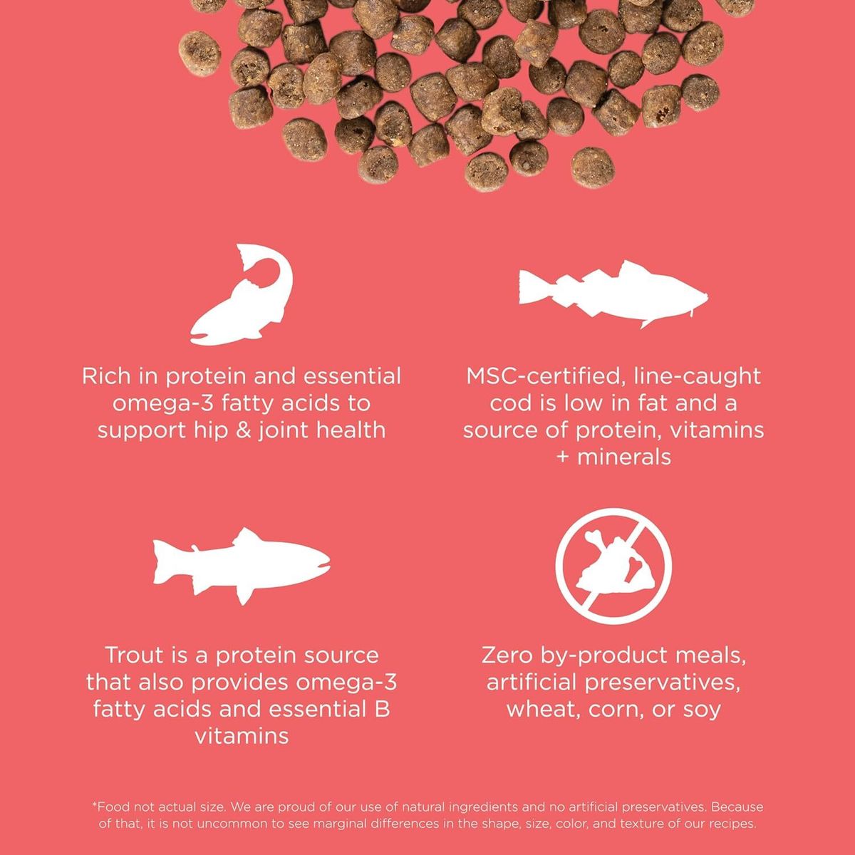 Go! SOLUTIONS Dry Cat Food - Vitality Nutrition Series - Grain-Free Salmon + Cod Formula